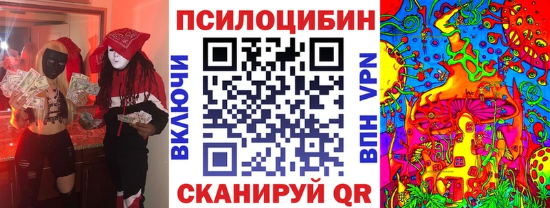 сколько стоит  Черкесск  Псилоцибиновые грибы мицелий 